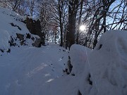 34 Splende il sole, ma fa freddo e la neve non si stacca dalle piante, se non scosse  da noi